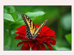 Douleurs, angoisses, perte d'énergie, troubles divers